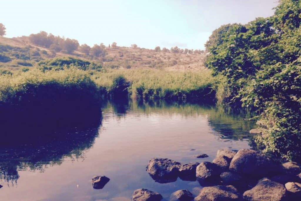 עין תינה