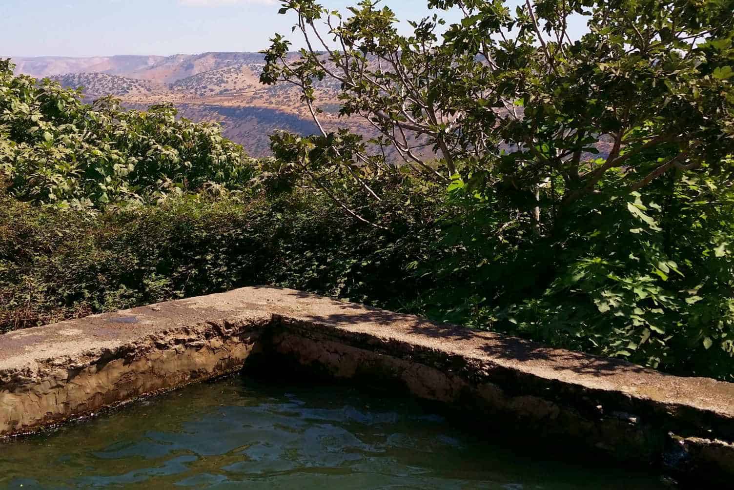 עין איה בריכה